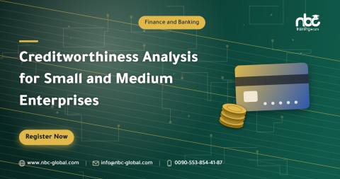 Creditworthiness Analysis for Small and Medium Enterprises