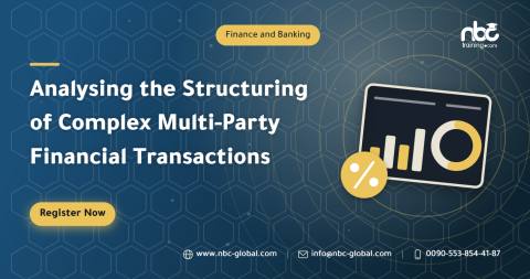 Analysing the Structuring of Complex Multi-Party Financial Transactions