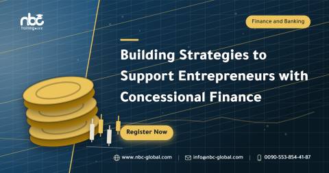 Building Strategies to Support Entrepreneurs with Concessional Finance