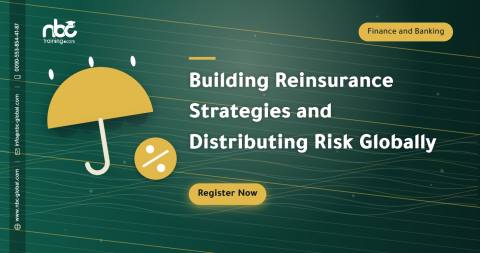 Building Reinsurance Strategies and Distributing Risk Globally