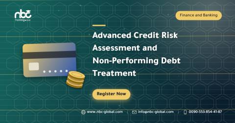 Advanced Credit Risk Assessment and Non-Performing Debt Treatment