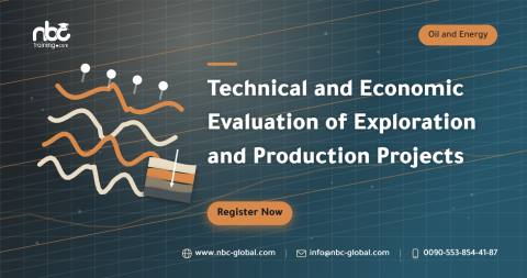 Technical and Economic Evaluation of Exploration and Production Projects