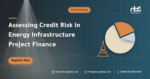Assessing Credit Risk in Energy Infrastructure Project Finance