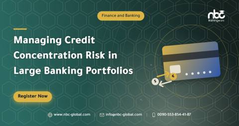 Managing Credit Concentration Risk in Large Banking Portfolios