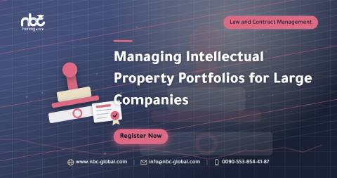 Managing Intellectual Property Portfolios for Large Companies