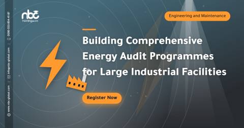 Building Comprehensive Energy Audit Programmes for Large Industrial Facilities