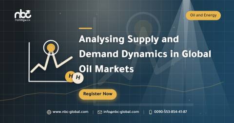Analysing Supply and Demand Dynamics in Global Oil Markets