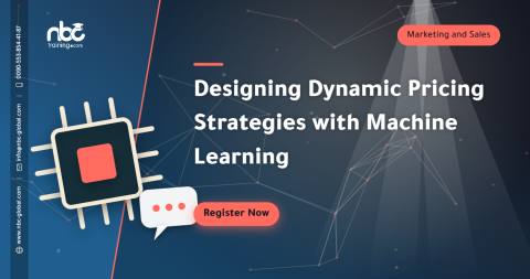 Designing Dynamic Pricing Strategies with Machine Learning