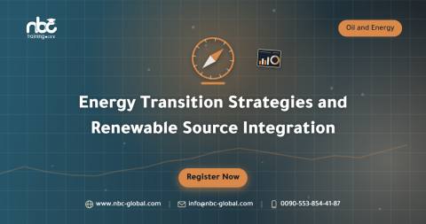 Energy Transition Strategies and Renewable Source Integration