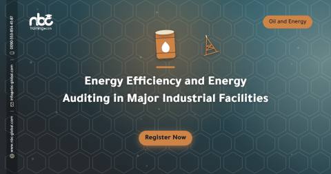 Energy Efficiency and Energy Auditing in Major Industrial Facilities