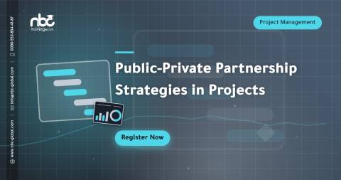 Public-Private Partnership Strategies in Projects