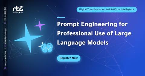Prompt Engineering for Professional Use of Large Language Models