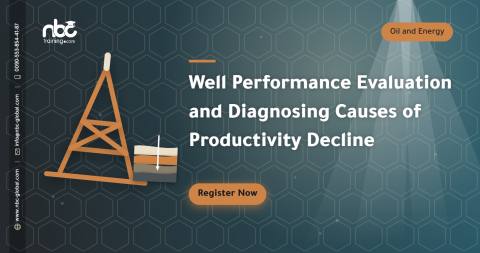 Well Performance Evaluation and Diagnosing Causes of Productivity Decline