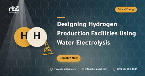 Designing Hydrogen Production Facilities Using Water Electrolysis