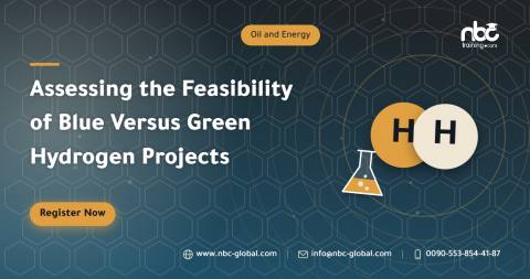 Assessing the Feasibility of Blue Versus Green Hydrogen Projects