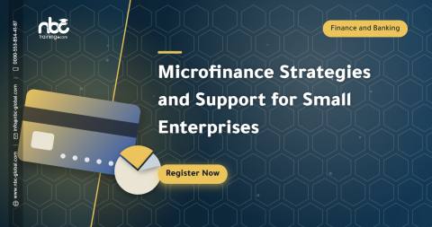 Microfinance Strategies and Support for Small Enterprises