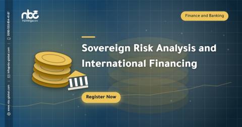 Sovereign Risk Analysis and International Financing