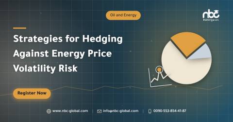 Strategies for Hedging Against Energy Price Volatility Risk