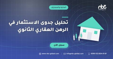 تحليل جدوى الاستثمار في الرهن العقاري الثانوي