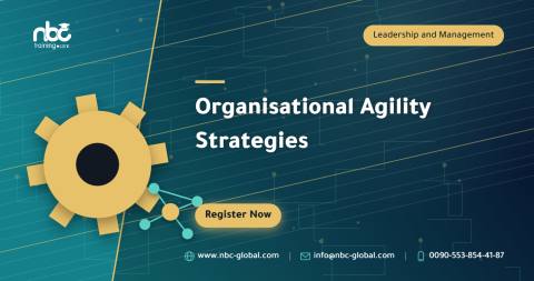 Organisational Agility Strategies