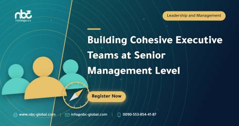 Building Cohesive Executive Teams at Senior Management Level