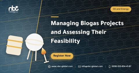 Managing Biogas Projects and Assessing Their Feasibility