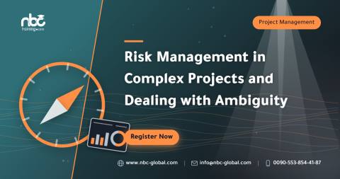 Risk Management in Complex Projects and Dealing with Ambiguity