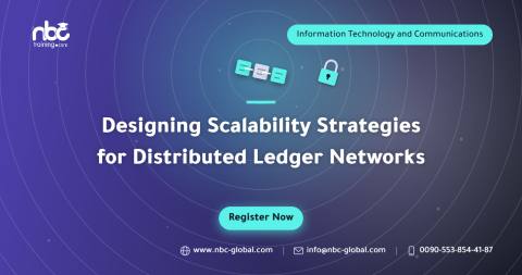Designing Scalability Strategies for Distributed Ledger Networks