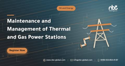 Maintenance and Management of Thermal and Gas Power Stations