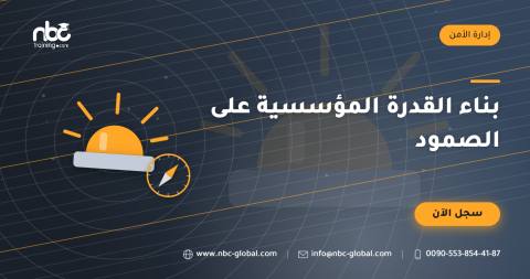 بناء القدرة المؤسسية على الصمود