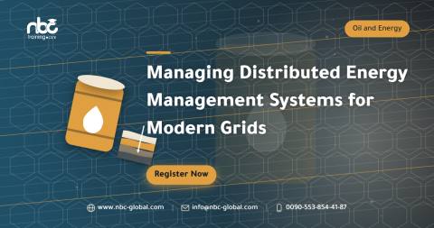 Managing Distributed Energy Management Systems for Modern Grids