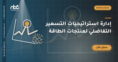 إدارة استراتيجيات التسعير التفاضلي لمنتجات الطاقة