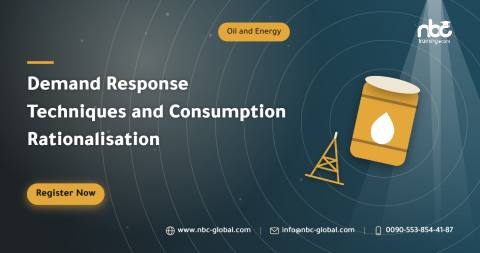 Demand Response Techniques and Consumption Rationalisation