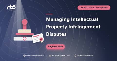 Managing Intellectual Property Infringement Disputes