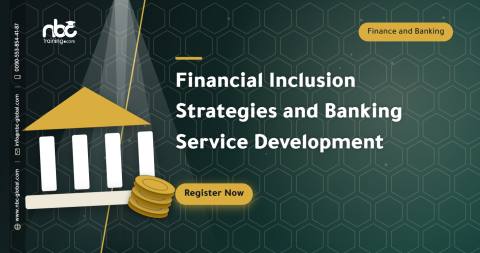 Financial Inclusion Strategies and Banking Service Development