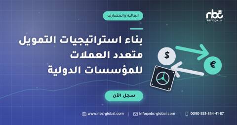 بناء استراتيجيات التمويل متعدد العملات للمؤسسات الدولية