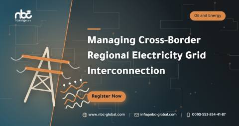Managing Cross-Border Regional Electricity Grid Interconnection