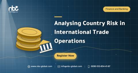 Analysing Country Risk in International Trade Operations