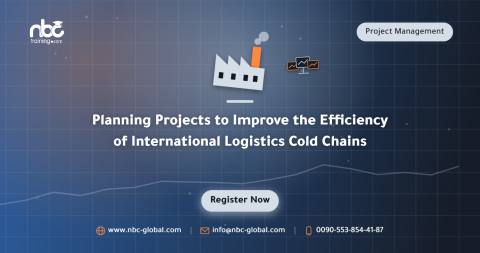 Planning Projects to Improve the Efficiency of International Logistics Cold Chains