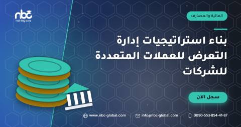 بناء استراتيجيات إدارة التعرض للعملات المتعددة للشركات