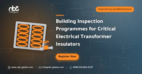 Building Inspection Programmes for Critical Electrical Transformer Insulators
