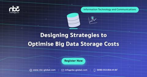 Designing Strategies to Optimise Big Data Storage Costs
