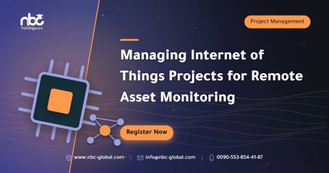 Managing Internet of Things Projects for Remote Asset Monitoring