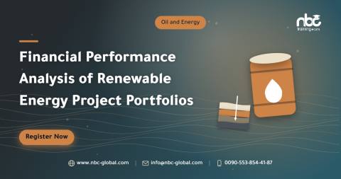 Financial Performance Analysis of Renewable Energy Project Portfolios