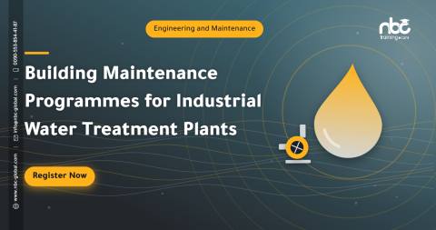 Building Maintenance Programmes for Industrial Water Treatment Plants