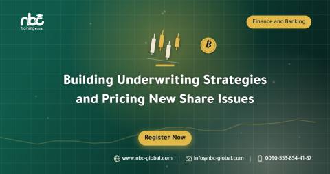 Building Underwriting Strategies and Pricing New Share Issues