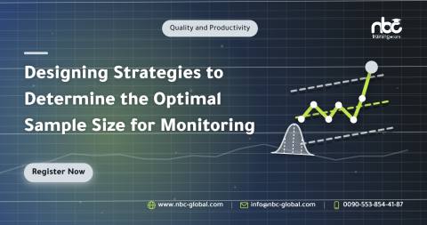 Designing Strategies to Determine the Optimal Sample Size for Monitoring