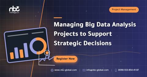 Managing Big Data Analysis Projects to Support Strategic Decisions