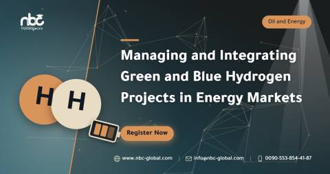 Managing and Integrating Green and Blue Hydrogen Projects in Energy Markets