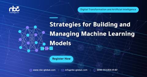 Strategies for Building and Managing Machine Learning Models